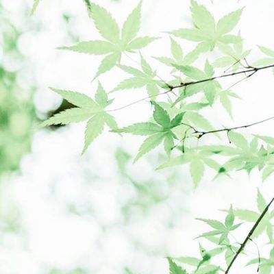腹黑q神传手游下载