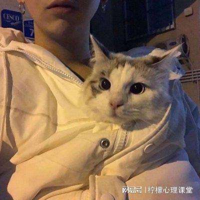哆啦大冒险最新版下载