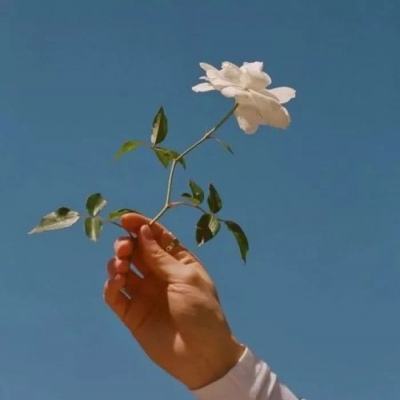 兔子传说内购破解版下载